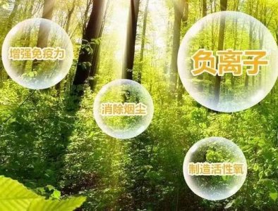 納米、改性、分子橋等，負氧離子生態液